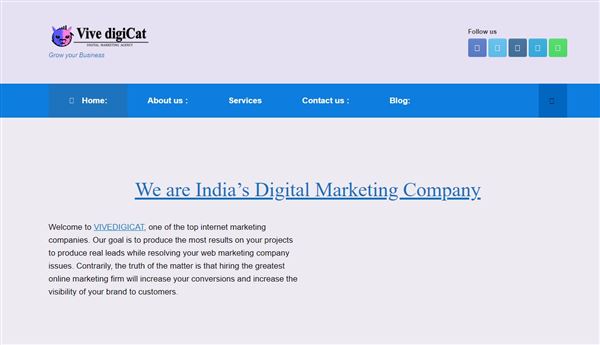 Vivedigicat Digital Marketing Agency In Azamgarh